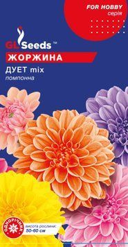 Насіння Жоржини Дует помпонна (0.25г), For Hobby, TM GL Seeds 1014_2 фото