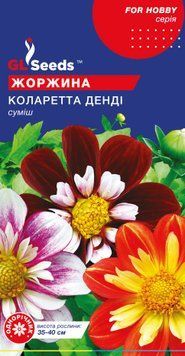 Насіння Жоржини Коларетта Дендi (0.25г), For Hobby, TM GL Seeds 1015_2 фото