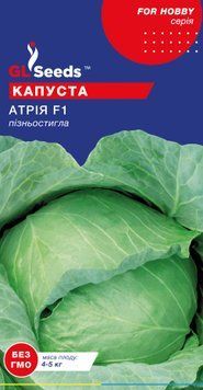 Насіння Капусти Атрія F1 Голандія; (50шт), For Hobby, TM GL Seeds 395_3 фото