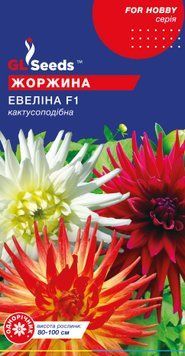 Насіння Жоржини Евеліна 0,25г For Hobby TM GL Seeds 1018_2 фото