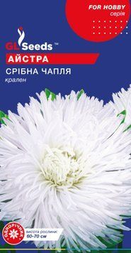 Насіння Айстри Срiбна чапля (0.3г), For Hobby, TM GL Seeds 1234_2 фото