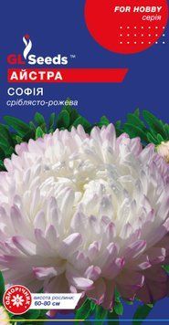 Насіння Айстри Софiя (0.3г), For Hobby, TM GL Seeds 1236_2 фото