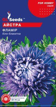 Насіння Айстри Фламір (0.3г), For Hobby, TM GL Seeds 1238_2 фото