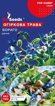 Насіння Огіркової трави Бораго (1г), For Hobby, TM GL Seeds 885_1 фото