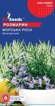Насіння Розмарину (0.1г), For Hobby, TM GL Seeds 898_1 фото
