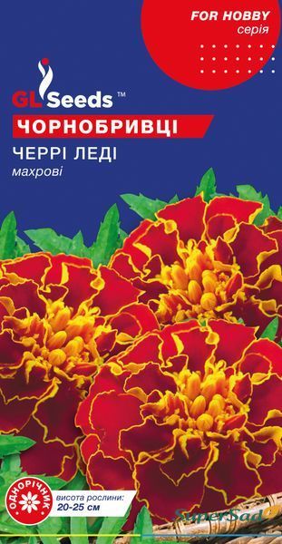 Семена Бархатцев Черри леди (0.5г), For Hobby, TM GL Seeds 978_2 фото Семена Бархатцев Черри леди (0.5г), For Hobby, TM GL Seeds 978_2 фото