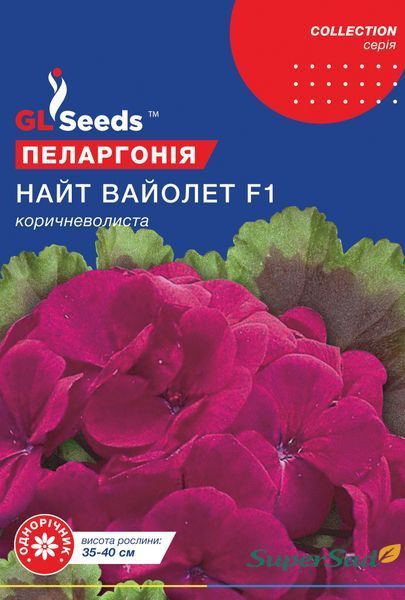 Семена Пелларгонии F1 Найт Вайолетт (5шт), Collection, TM GL Seeds 1300_2 фото Семена Пелларгонии F1 Найт Вайолетт (5шт), Collection, TM GL Seeds 1300_2 фото