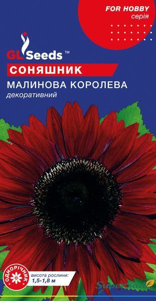 Семена Подсолнечника Малиновая королева (1г), For Hobby, TM GL Seeds 1130_2 фото Семена Подсолнечника Малиновая королева (1г), For Hobby, TM GL Seeds 1130_2 фото