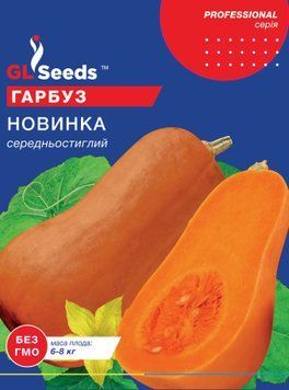 Семена Тыквы Новинка (15г), Professional, TM GL Seeds 315_1 фото